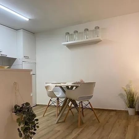アパート Eine Schoene Am Messeplatz バーゼル